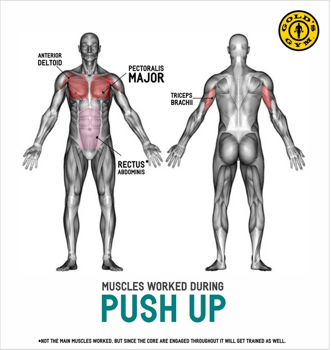 What Do Push-Ups Do to Your Body?